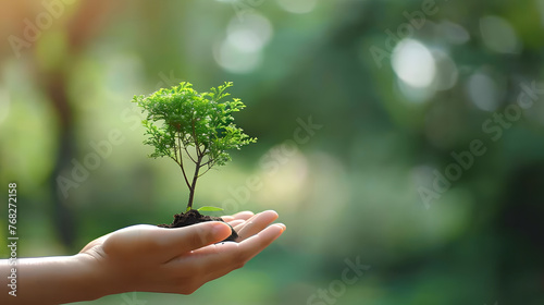 Young Tree Sapling Cradled Gently in Human Hands Against a Soft Green Background