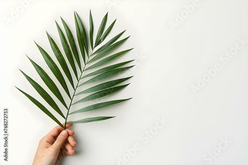 A hand holding a palm leaf against a white background symbolizing Palm Sunday and World Environment Day. Concept Nature, Symbolism, Palm Sunday, World Environment Day, White Background