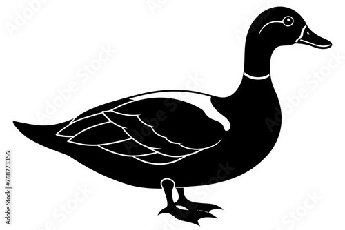 waterfowl muscovy duck silhouette vector illustration