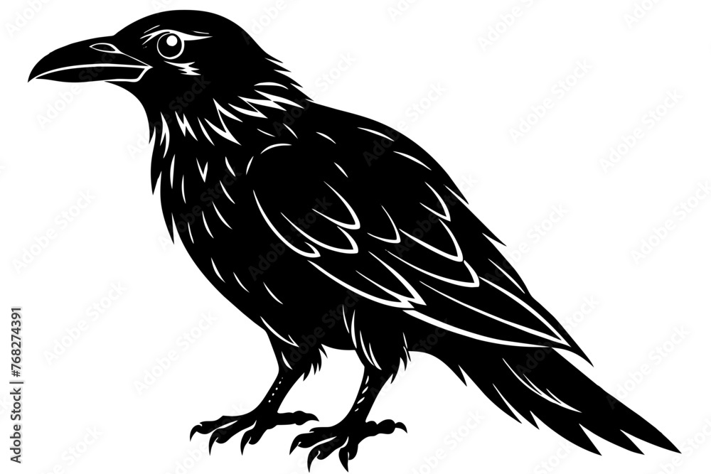 raven silhouette vector illustration