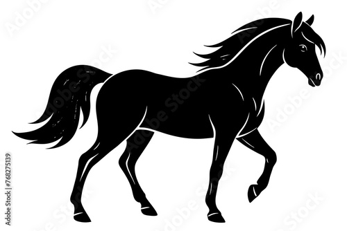 paso fino horse silhouette vector illustration