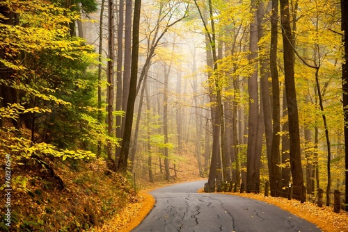 Tableau sur toile A paved road  winding and snaking through a forest of autumn colors near Cornish, New Hampshire