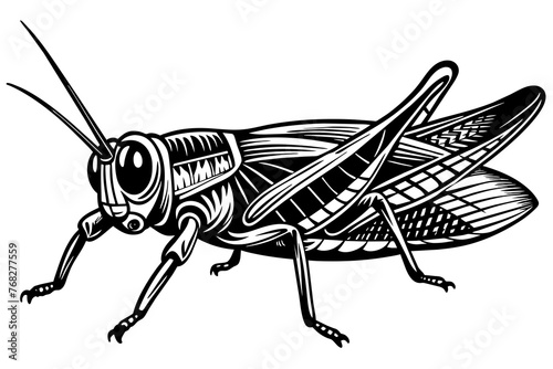 A realistic Grasshopper silhouette vector art illustration