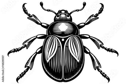 A realistic Beetle  silhouette  vector art illustration © Moriom