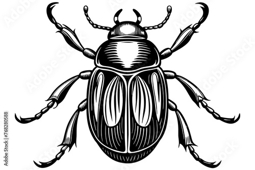 A realistic Beetle silhouette vector art illustration