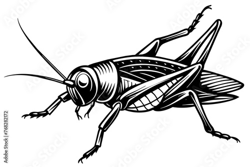 A realistic Cricket silhouette  vector art illustration