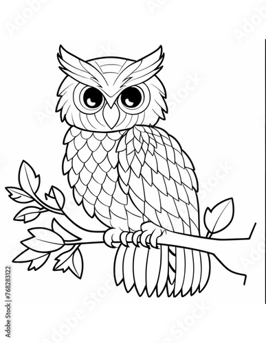 owl on a branch coloring page for children photo