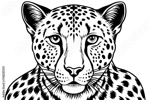 A realistic Cheetah silhouette vector art illustration