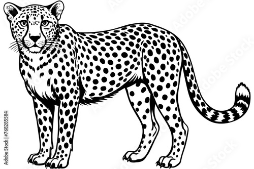 A realistic Cheetah silhouette vector art illustration