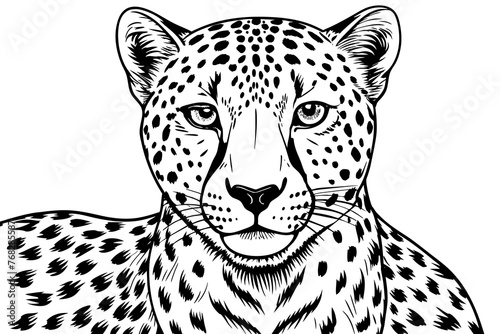 A realistic Cheetah silhouette  vector art illustration