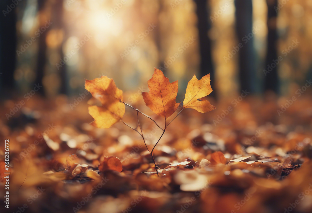 Autumn background