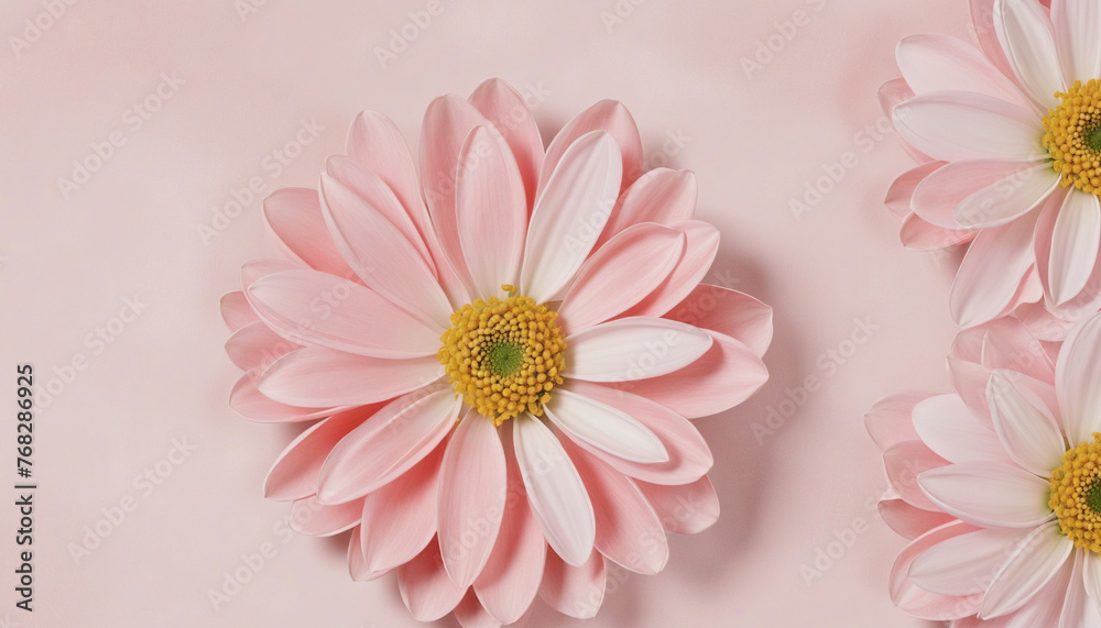 Abstract pink pastel flower luxury on silk pink pastel background