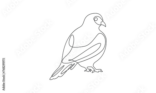 Vector continuous one simple single abstract line drawing of pigeon bird isolated on a white background 