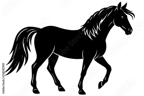 morgan horse silhouette vector illustration photo