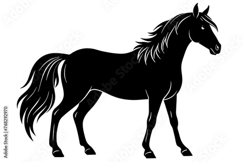 morgan horse silhouette vector illustration © CreativeDesigns