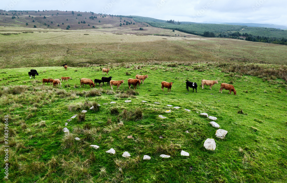 Brenig 8 aka Waen Ddafad, Cairn 1. One of the prehistoric Brenig Cairns ...