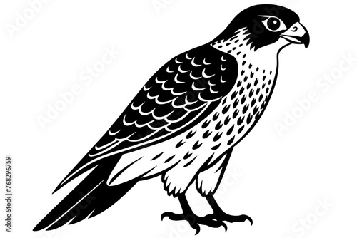 falcon silhouette vector illustration