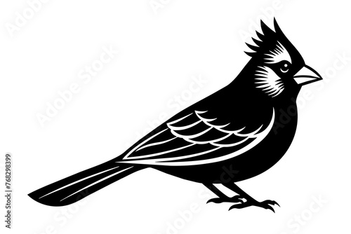 cardinal silhouette vector illustration