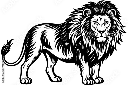 A realistic lion silhouette  vector art illustration