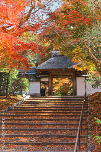 安楽寺 - Anrakuji Temple in kyoto, Japan photo