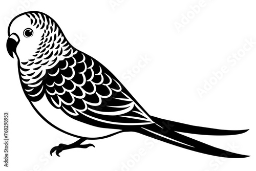 budgerigar budgie silhouette vector illustration