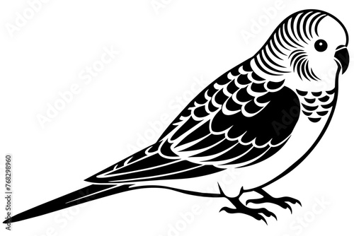 budgerigar budgie silhouette vector illustration