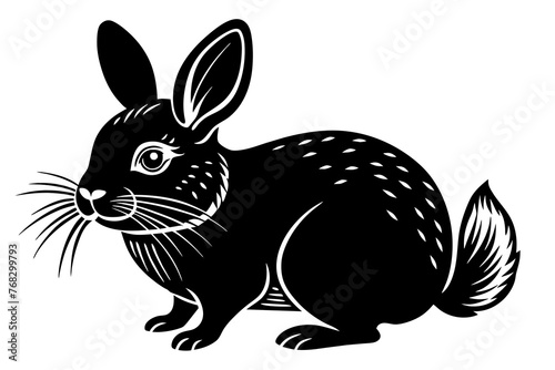 american, chinchilla rabbit silhouette vector illustration