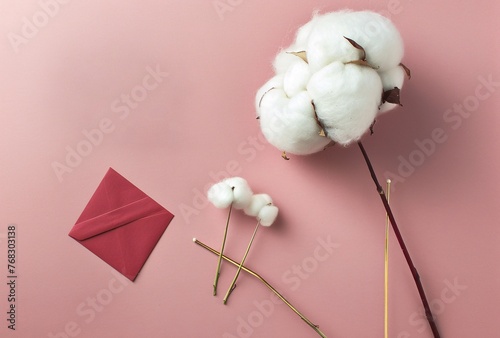 A cotton in rotation