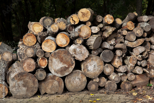 logging and storage of firewood