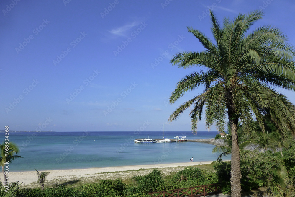 沖縄　椰子の木と海　リゾート