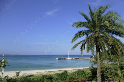 沖縄　椰子の木と海　リゾート © fukunature