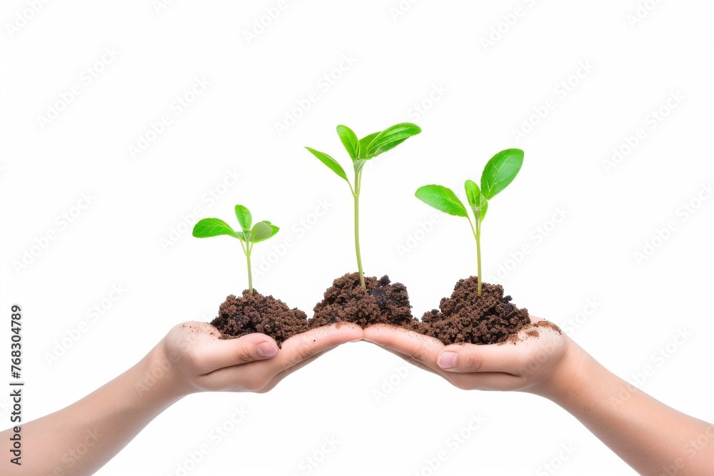 This image captures the nurturing hands holding soil with young plant seedlings representing growth, care, and sustainable development This image captures the nurturing hands holding soil with young plant seedlings representing growth, care, and sustainable development