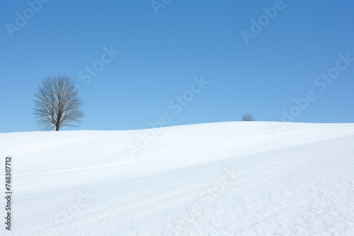 Winter landscape with a leafless tree