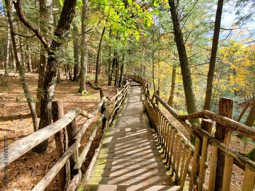 The view of the wooden walking trail surrounded by stunning fall foliage near Bushkill Falls  Pennsylvania  U.S.A