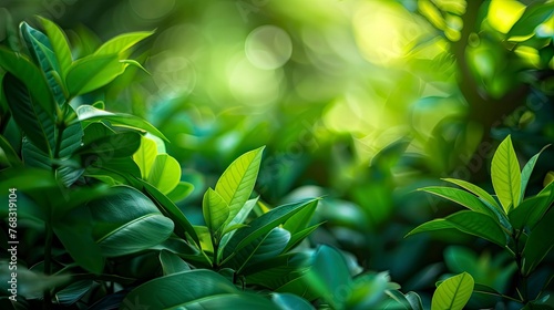 Nature of green leaf in garden at summer. Natural green leaves plants using as spring background cover page greenery environment ecology wallpaper - generative ai