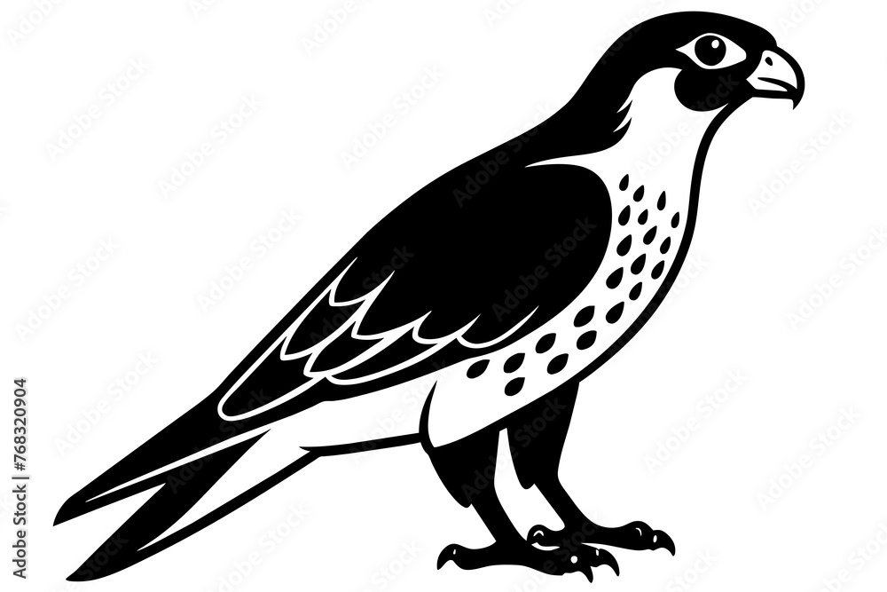 Fototapeta premium falcon silhouette vector illustration