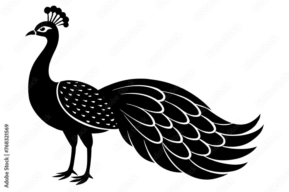 Fototapeta premium peacock silhouette vector illustration