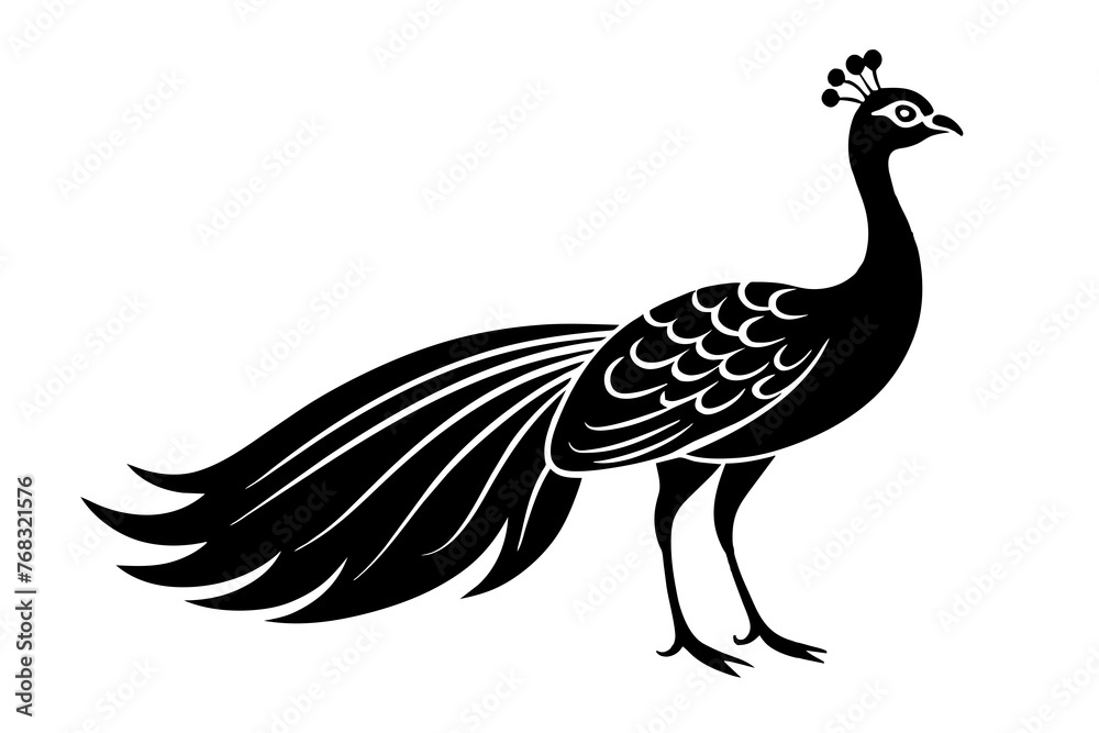 Fototapeta premium peacock silhouette vector illustration