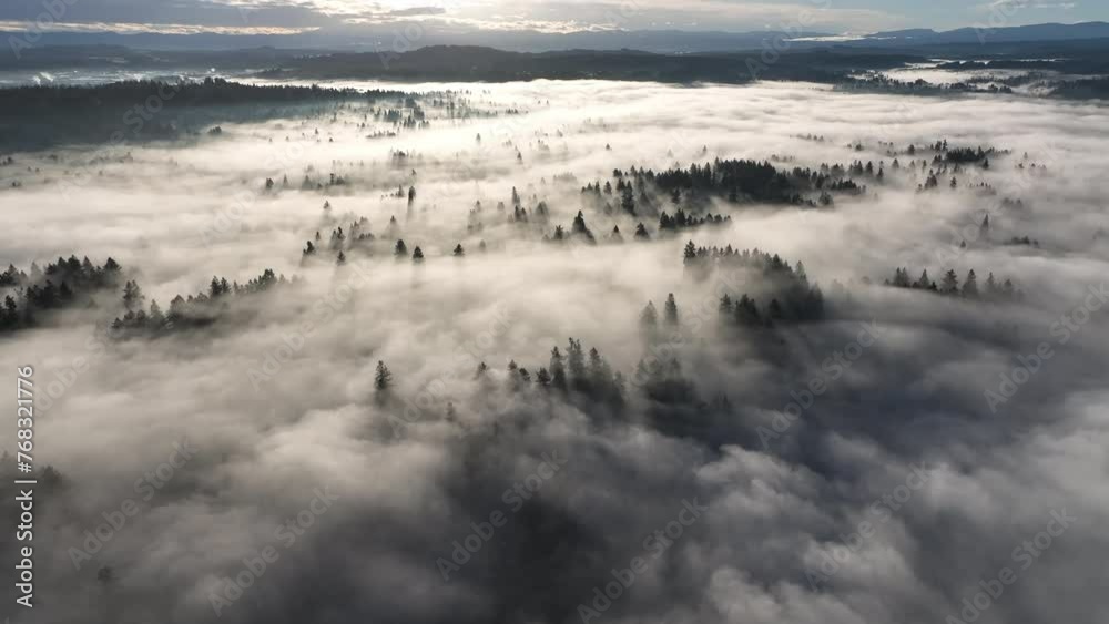 Early morning sunlight illuminates fog that has settled in the Willamette Valley in northern Oregon, not far south of Portland. The entire Pacific Northwest is known for its moist, temperate climate.