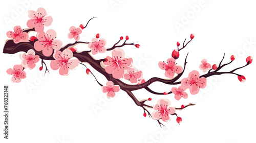Japanese Sakura Branches