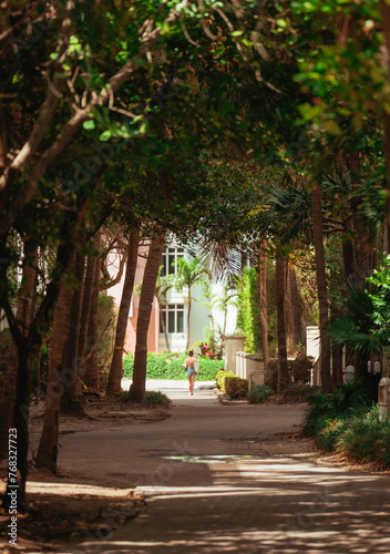 alley in the park miami 