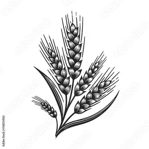 wheat ears leaf sketch line art engraving generative ai vector illustration symbolic of harvest and agriculture. Scratch board imitation. Black and white image.