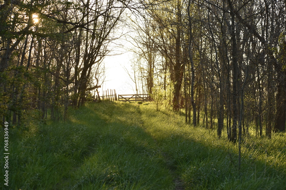 Naklejka premium tranquera 