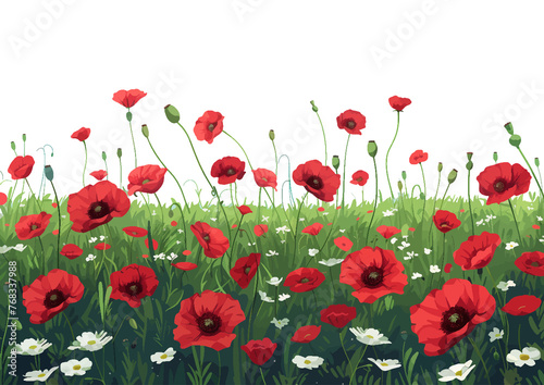 Bright Red Poppies Field on Sunny Day PNG illustration with transparent background