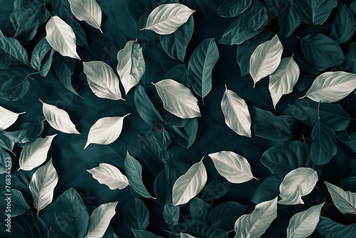Top View of a Dense Cluster of White and Green Leaves on a Dark Green Background  Nature Concept for Design