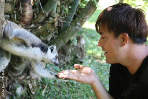 ワオキツネザル　マダガスカル photo