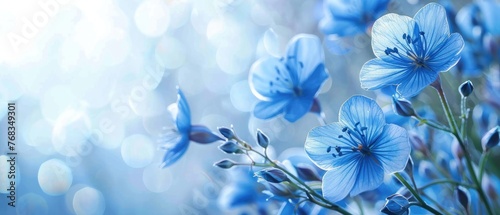 Blue Flax flowers on a blue background. Space for text