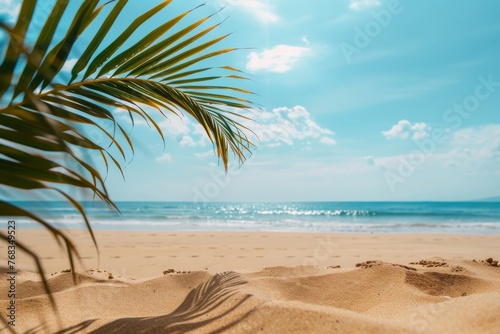 Sandy beach with palm leaves foreground and water glints.