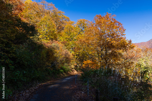 日本の風景・秋 紅葉の谷川岳 一ノ倉沢までのハイキングコース