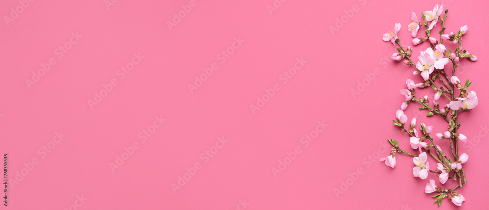 Beautiful blossoming branches on color background Beautiful blossoming branches on color background